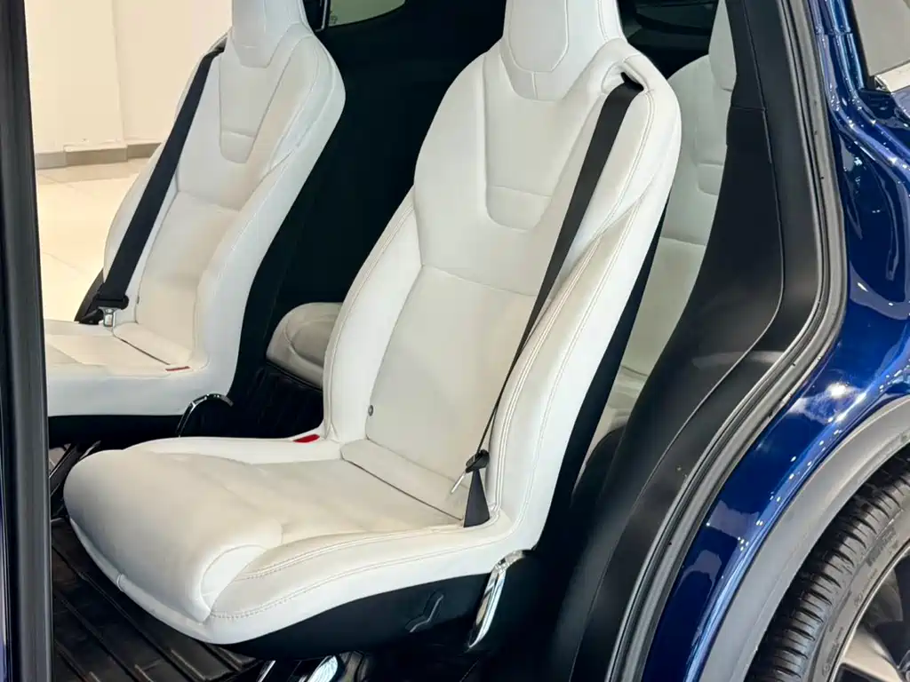 Tesla Model X — миниатюра 17