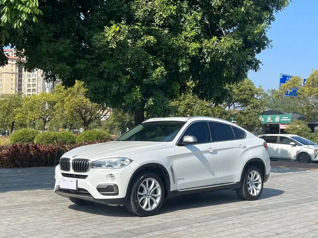 BMW X6 2017