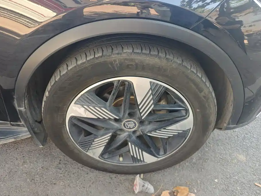 BYD Tang New Energy — миниатюра 6