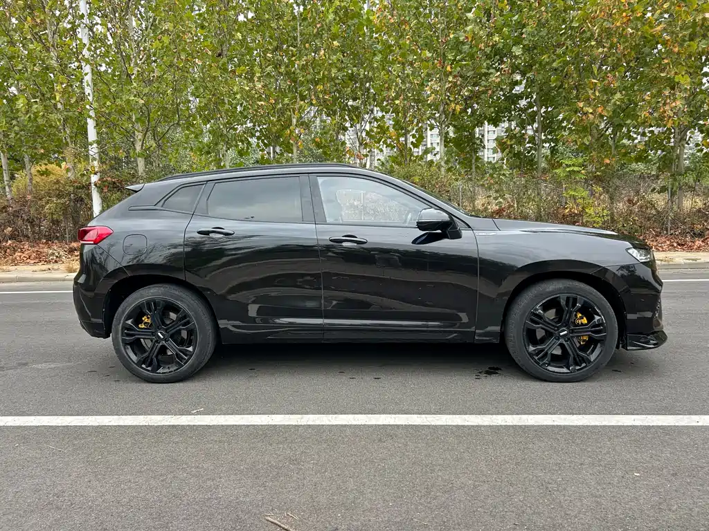 Wey Wey VV7 — миниатюра 11