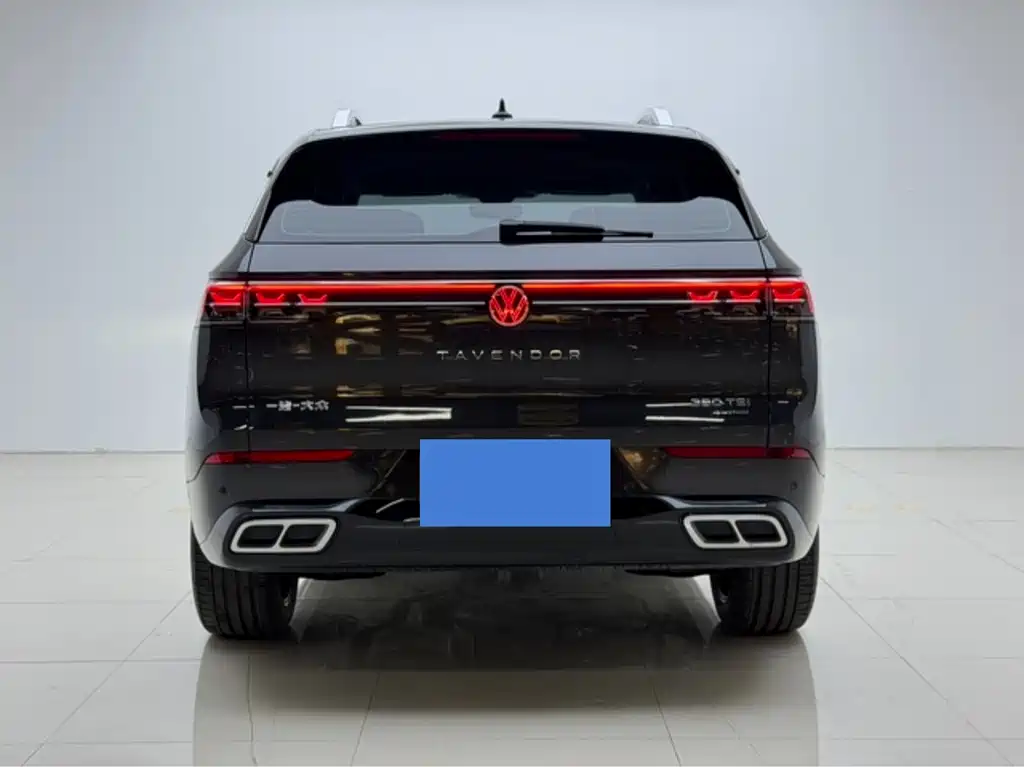 Volkswagen Tavendor — миниатюра 15