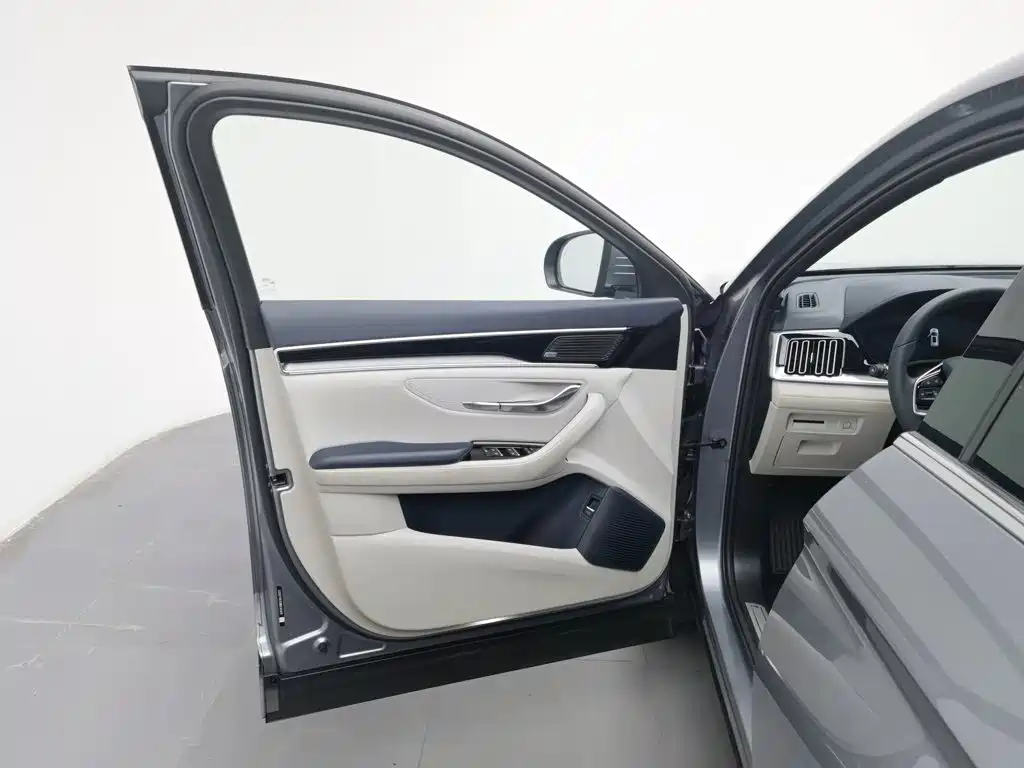 BYD PLUS New Energy — миниатюра 8