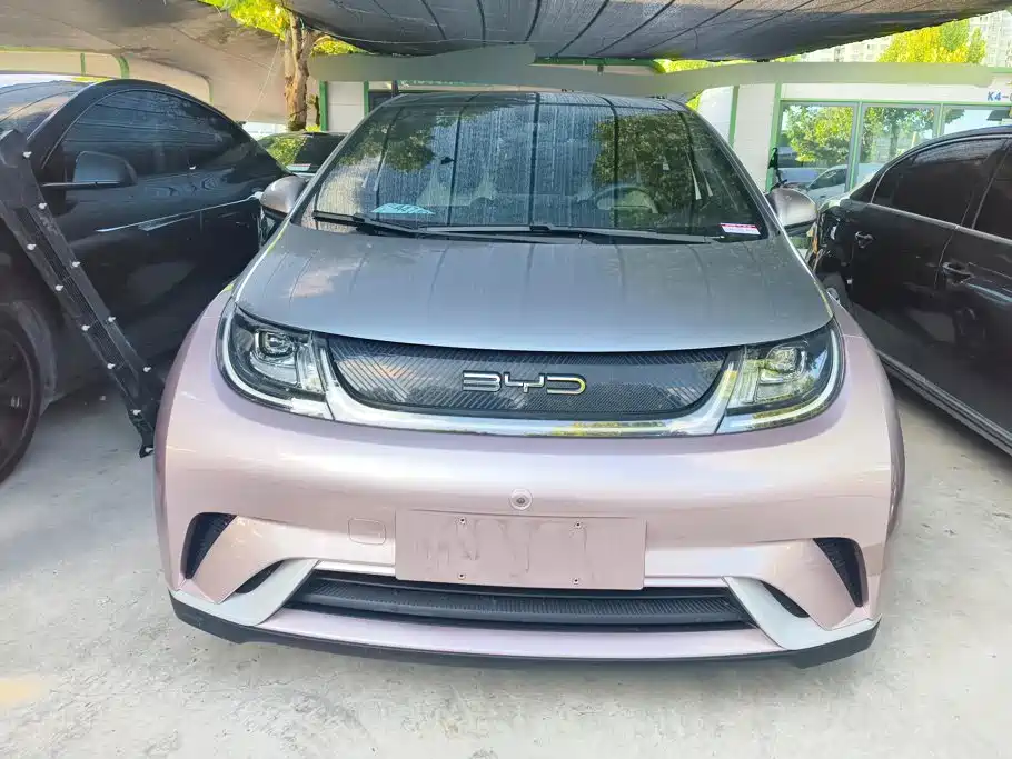 BYD Dolphin — миниатюра 2