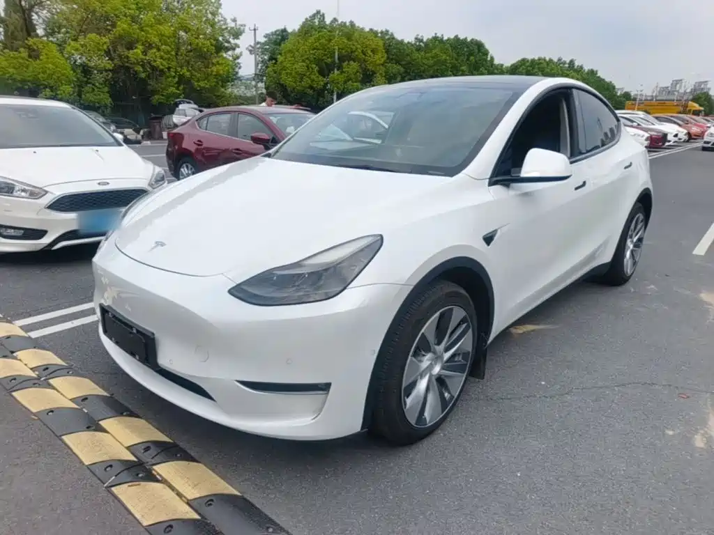 Tesla Model Y — миниатюра 2