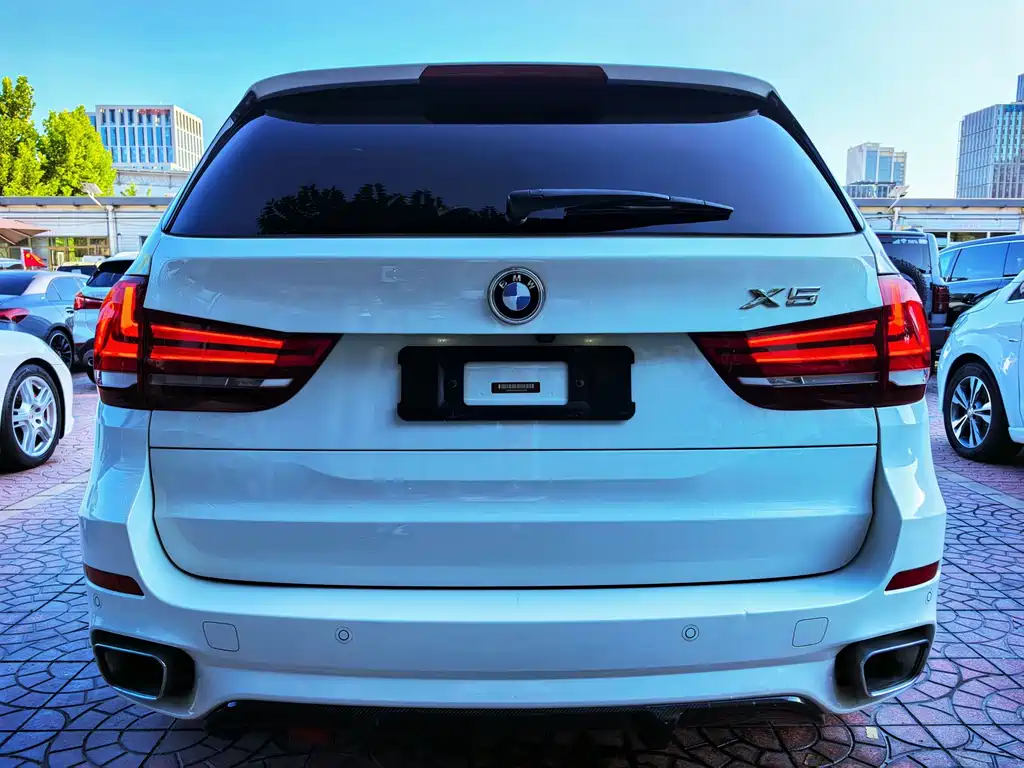 BMW X5 (Import) — миниатюра 16