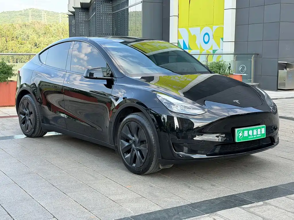 Tesla Model Y — миниатюра 3