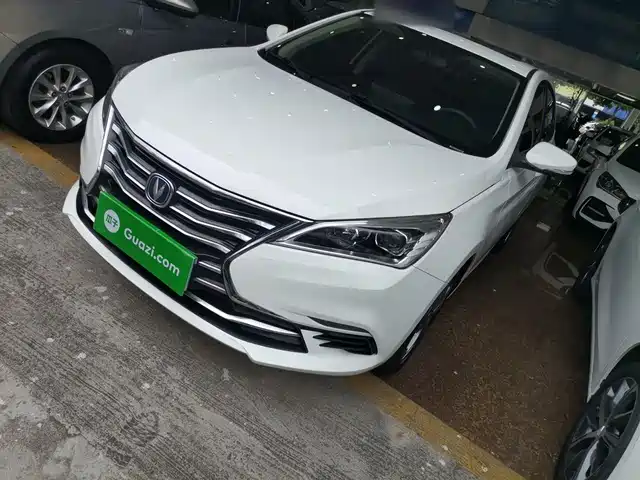 CHANGAN YIDONG DT 2020