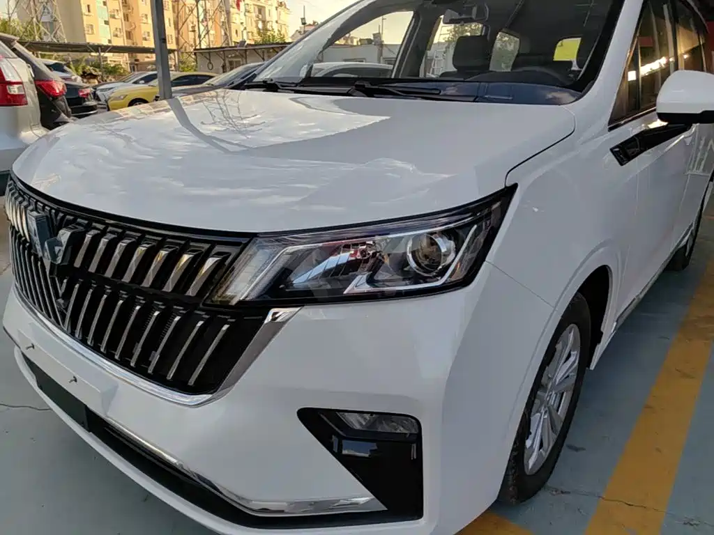 Wuling Jiachen — миниатюра 24