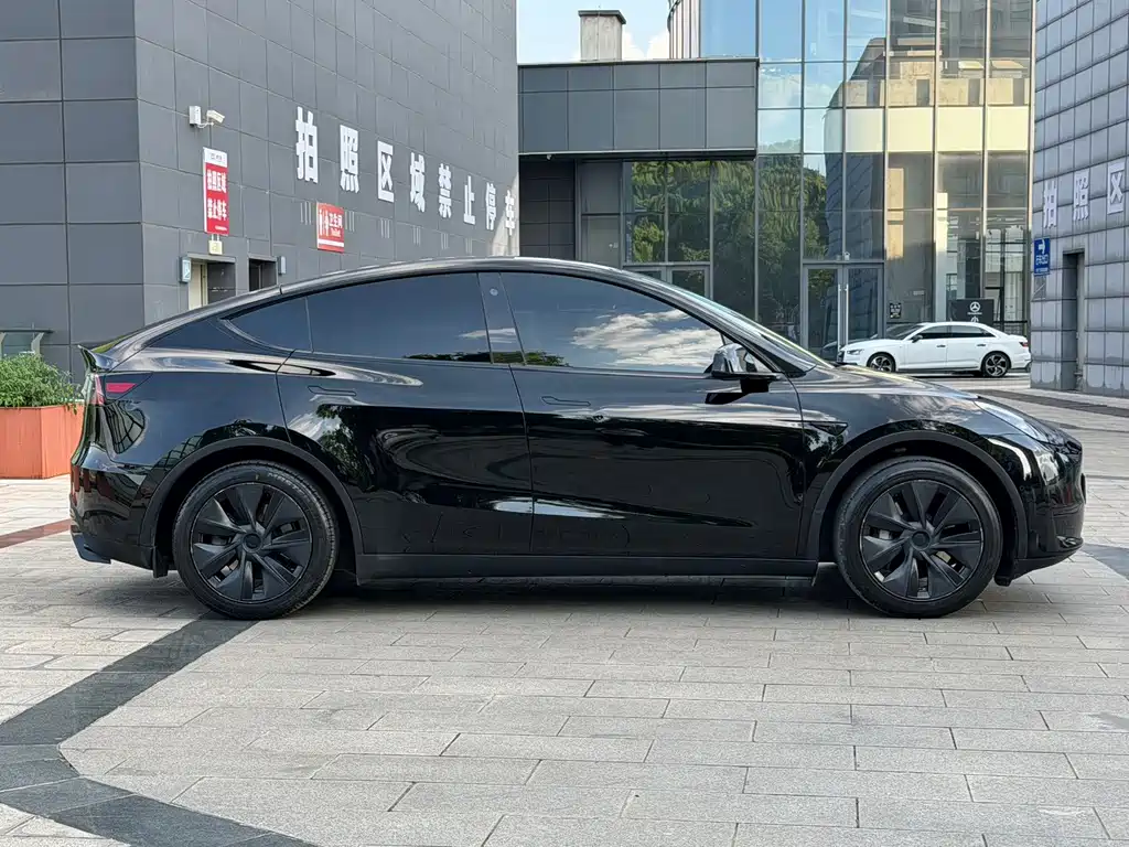 Tesla Model Y — миниатюра 4