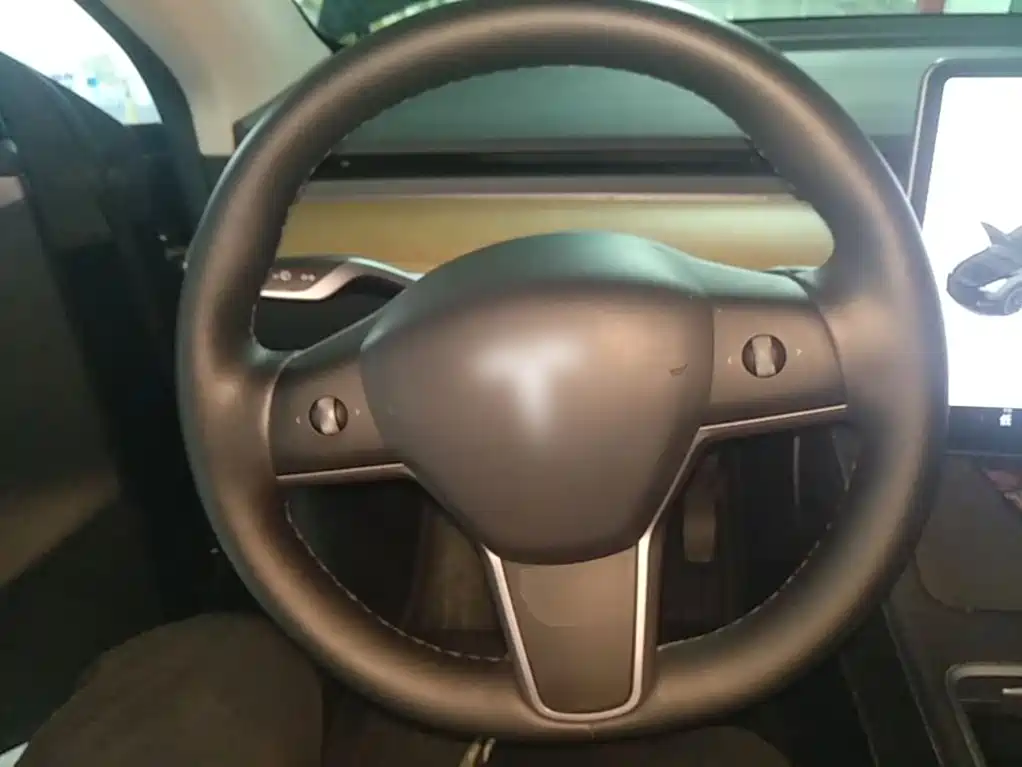 Tesla Model Y — миниатюра 11