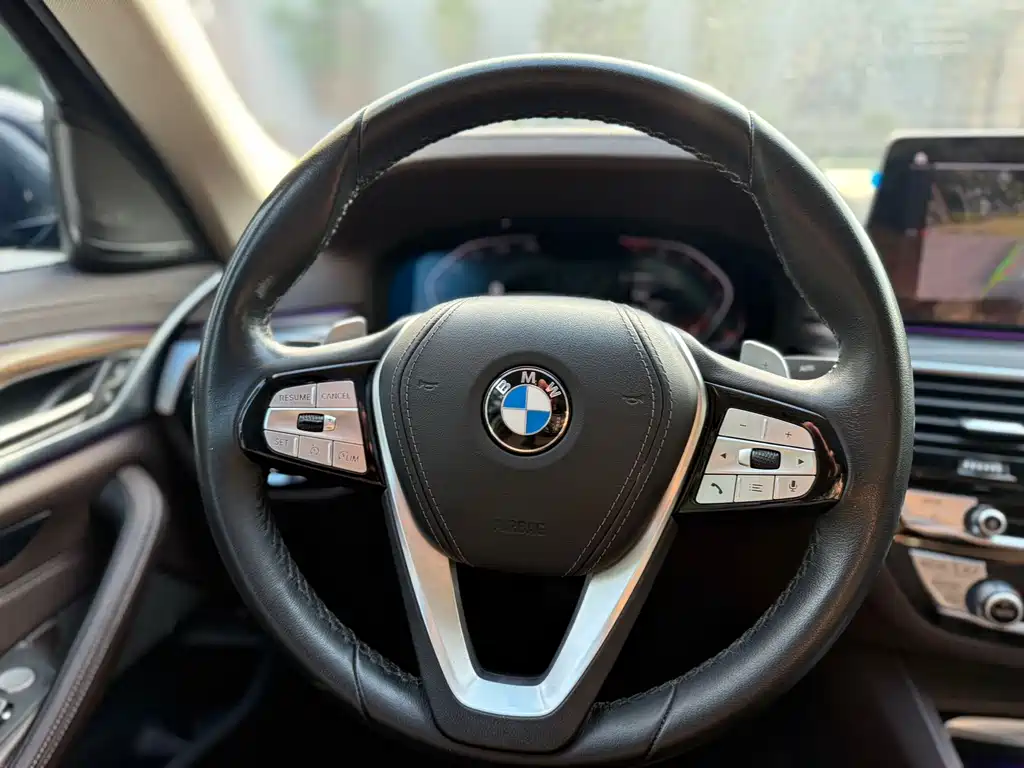 BMW 5 Series 5 2022 530Li Premium Luxury