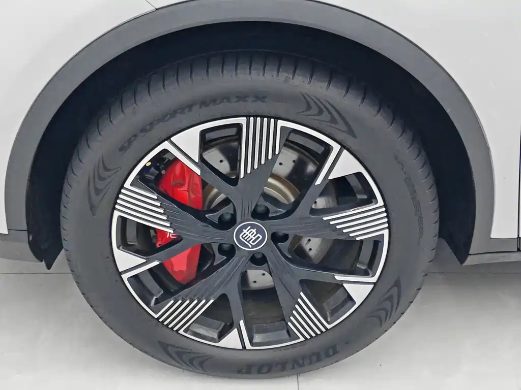 BYD Tang New Energy — миниатюра 8