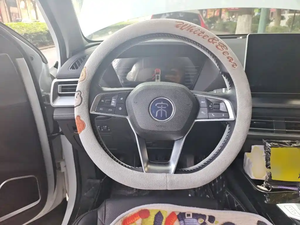 BYD Pro — миниатюра 11