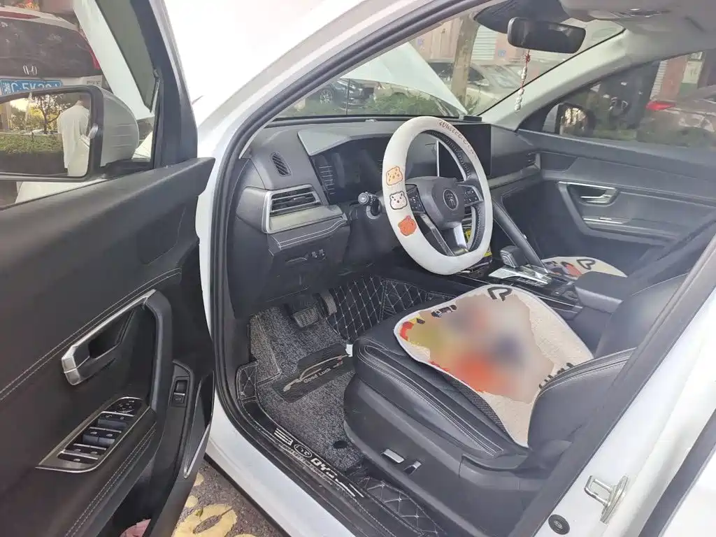 BYD Pro — миниатюра 17