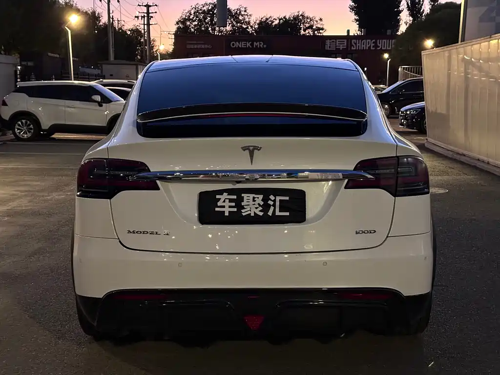 Tesla Model X — миниатюра 21