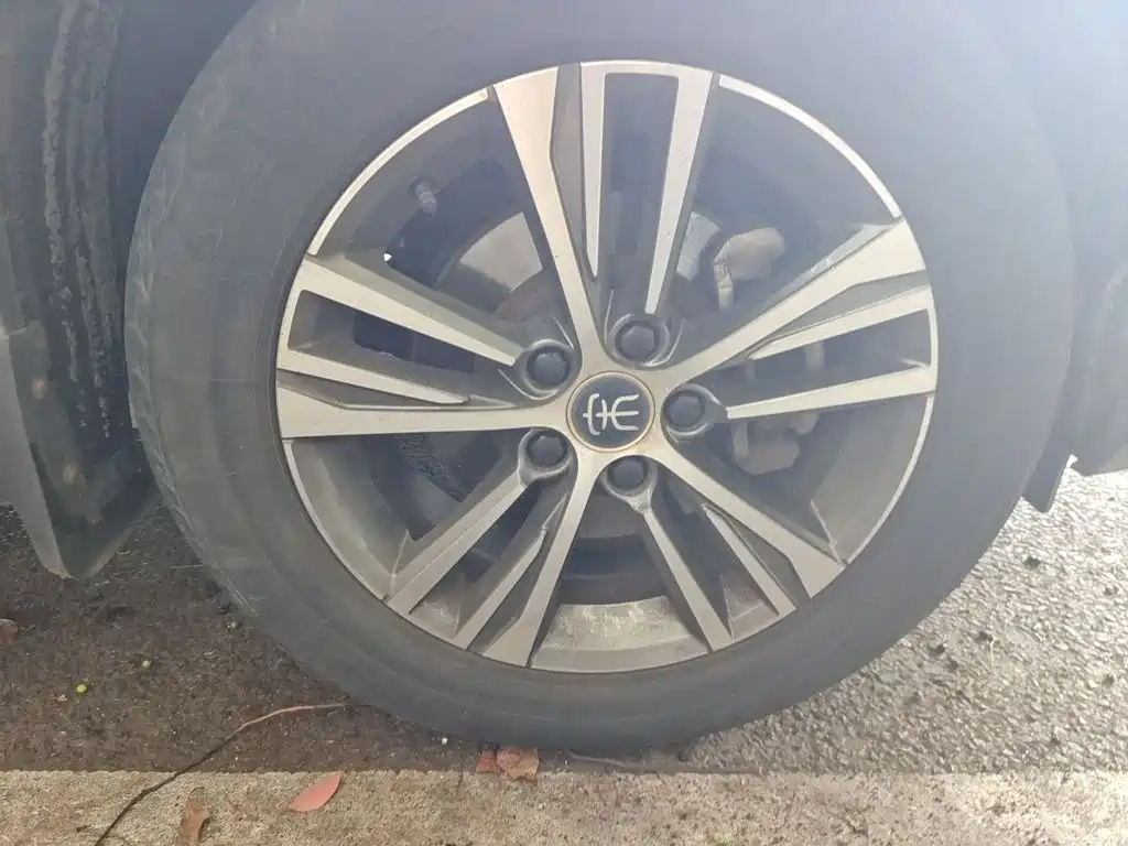 BYD Pro — миниатюра 8