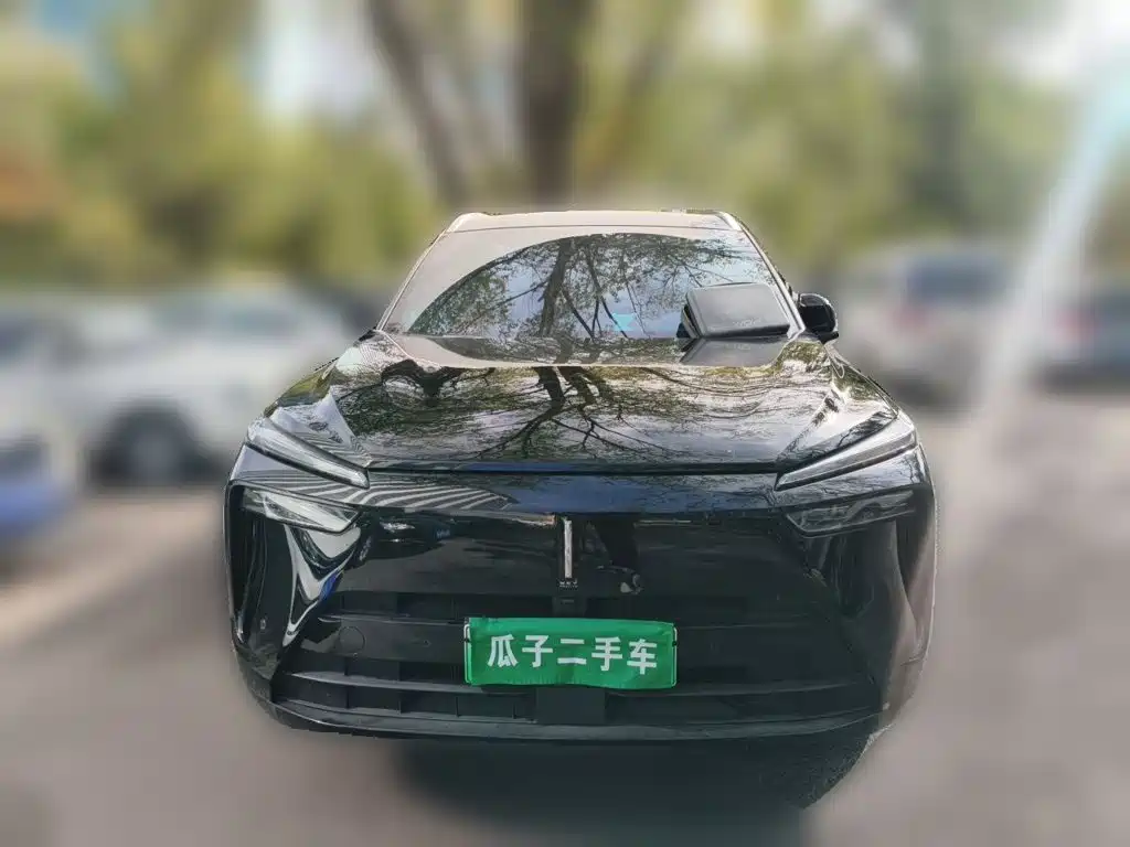 Wey Wey Lanshan — миниатюра 2