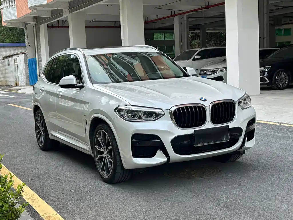 BMW X3 2020 xDrive30i Lead M Sport