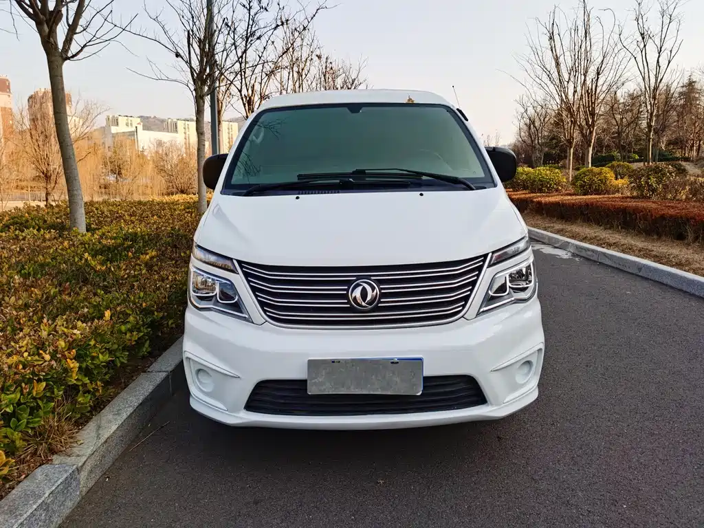 DONGFENG LINGZHI