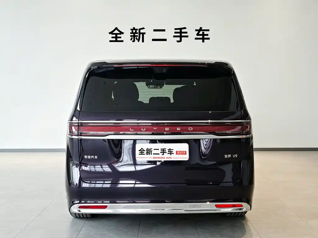Zhijie Zhijie V9 — миниатюра 4