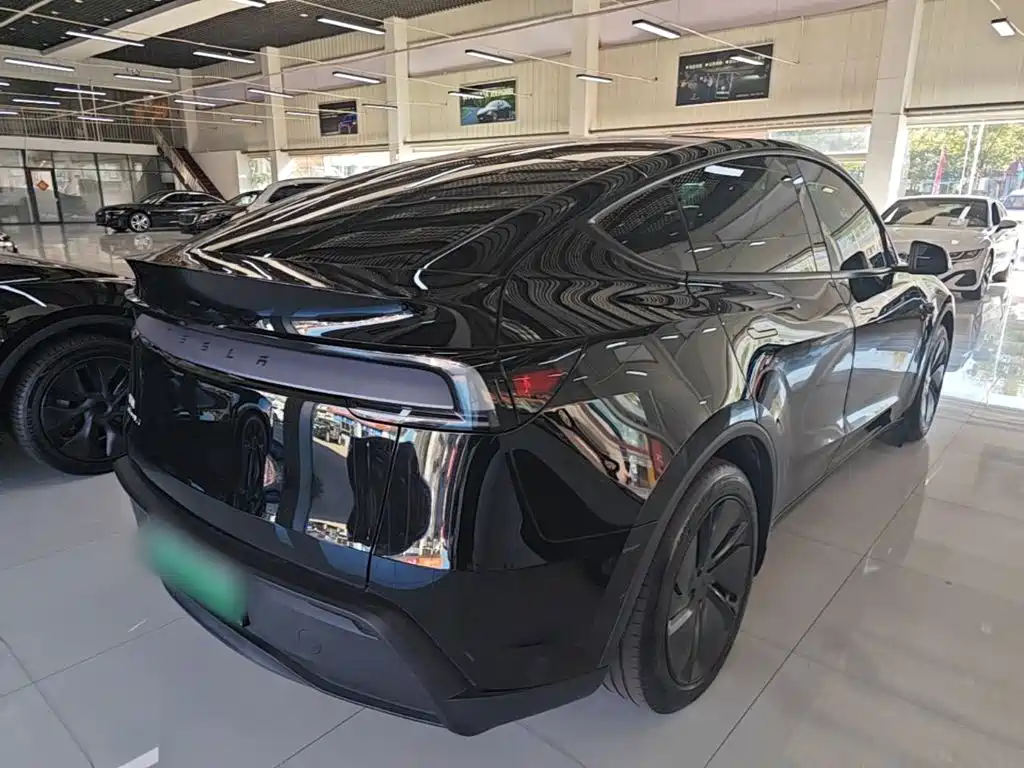 Tesla Model Y — миниатюра 7