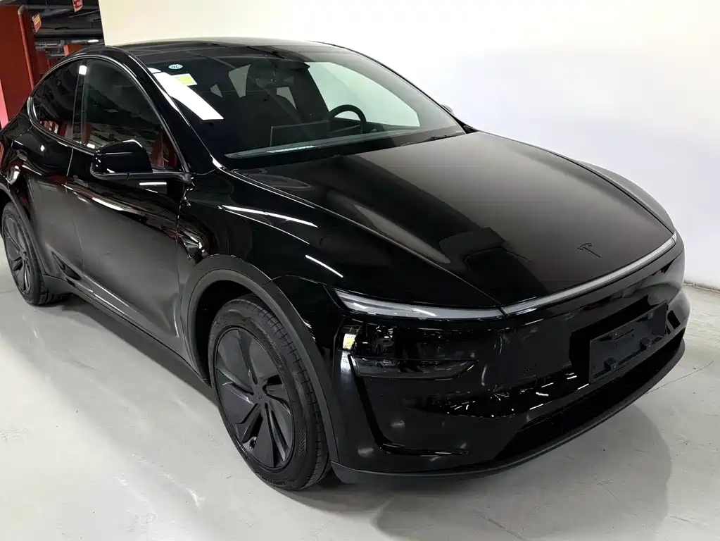 Tesla Model Y — миниатюра 2