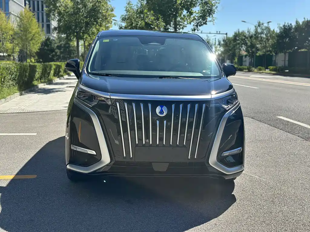 Denza Denza D9 — миниатюра 2