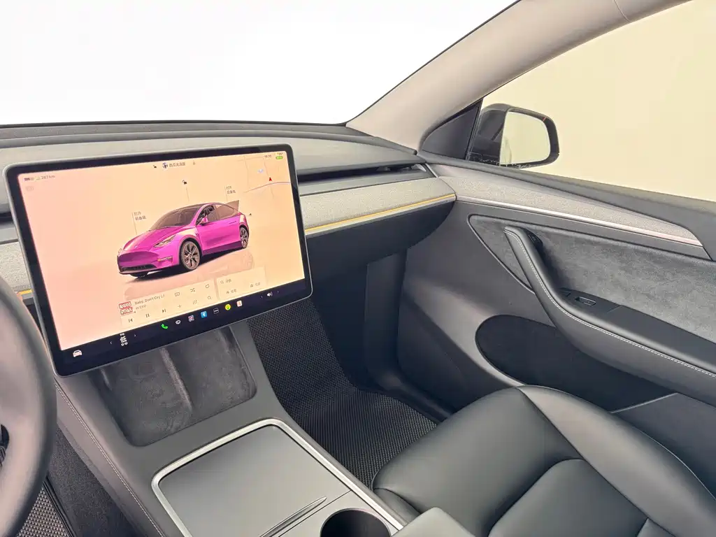 Tesla Model Y — миниатюра 6