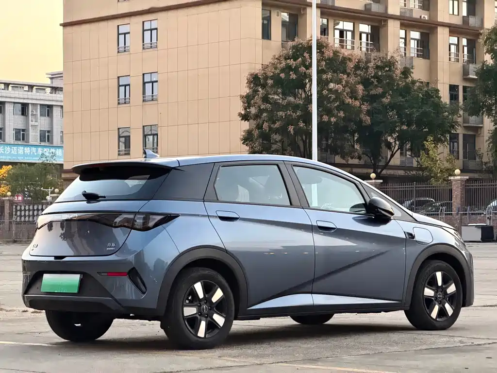 BYD Dolphin — миниатюра 24