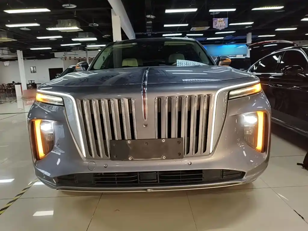 Hongqi Hongqi E-HS9 — миниатюра 3