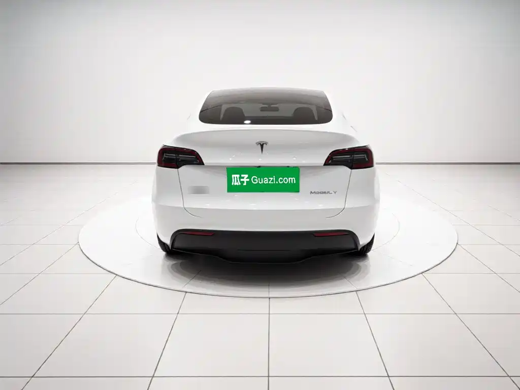 Tesla Model Y — миниатюра 3