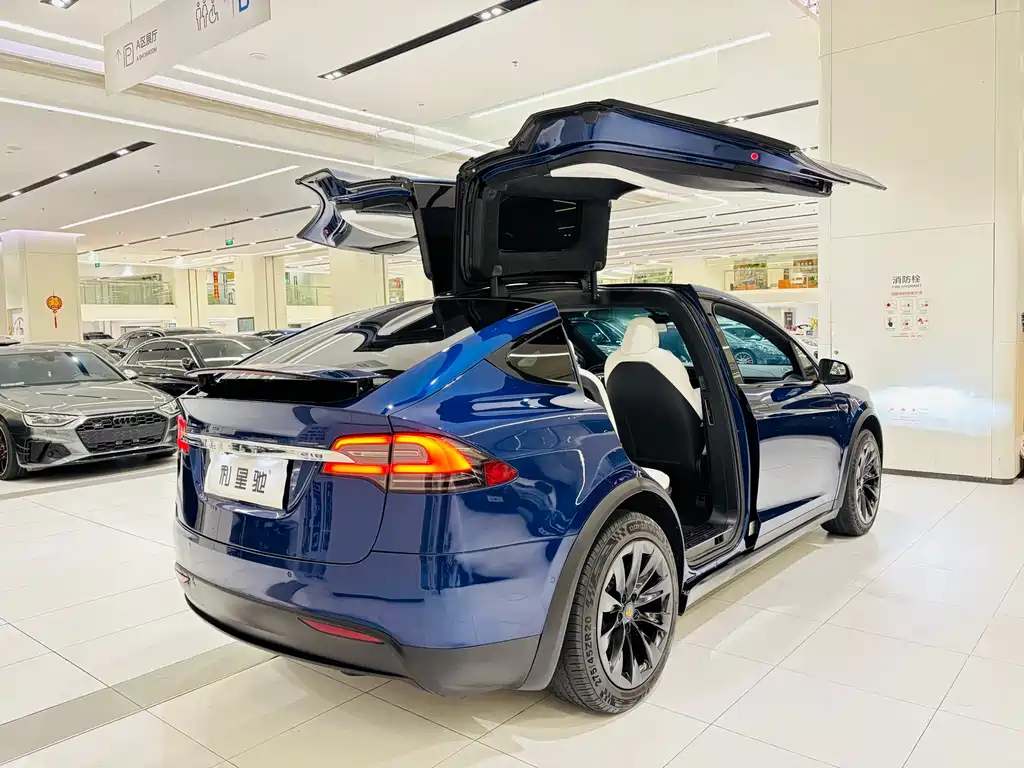 TESLA MODEL X
