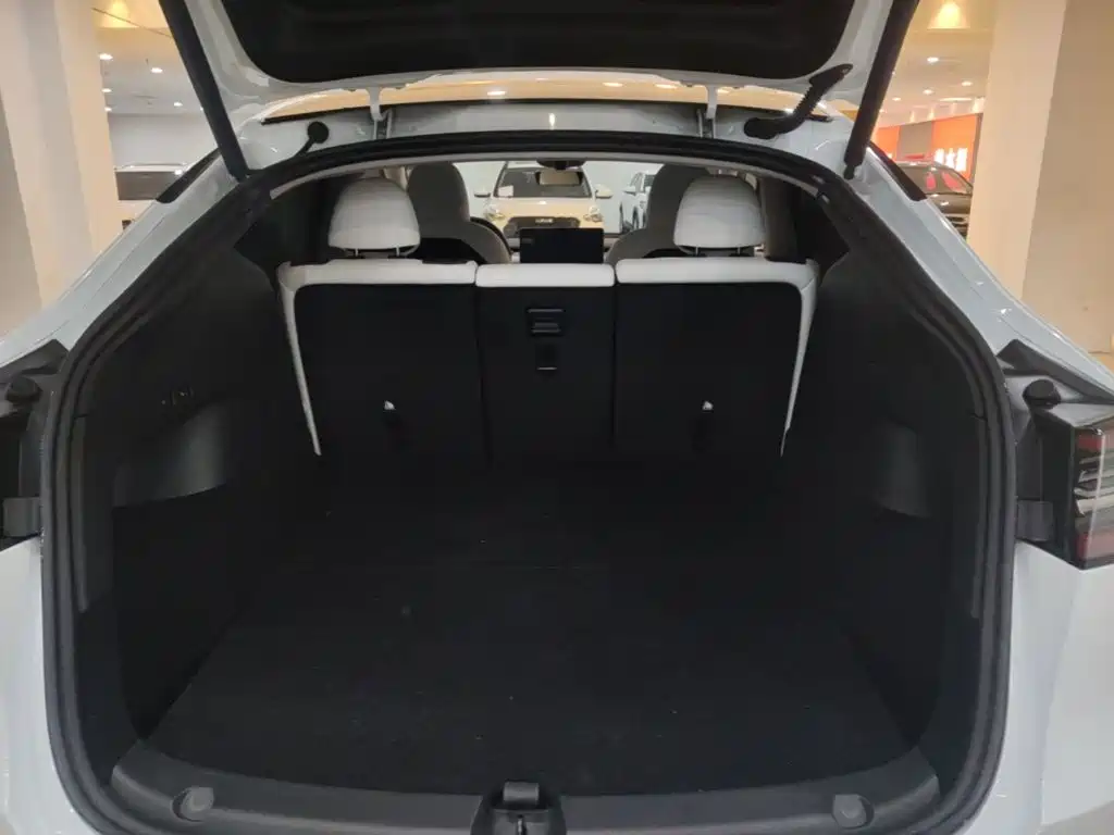 Tesla Model Y — миниатюра 15