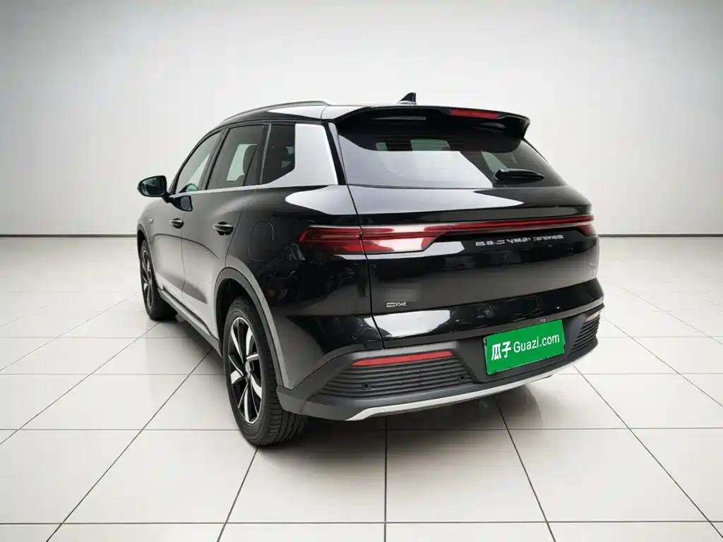BYD Pro New Energy — миниатюра 4