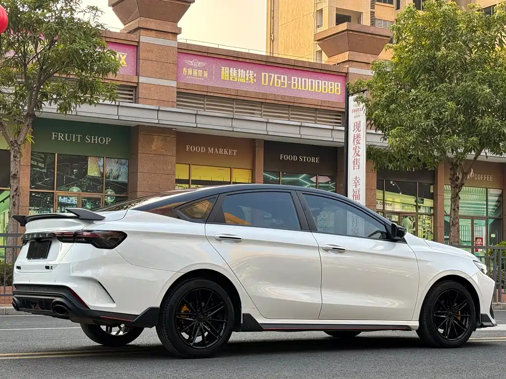 GEELY AUTOMOBILE BINRUI