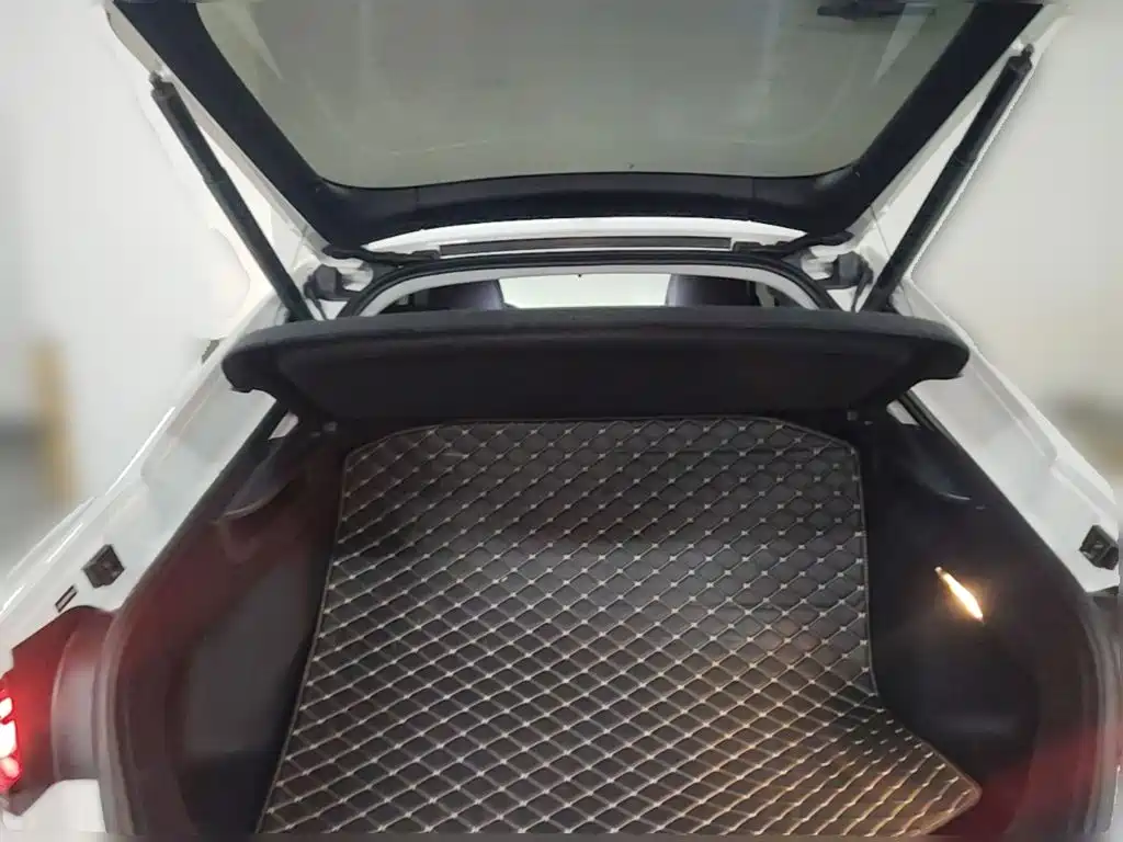 Volkswagen Lamando — миниатюра 10