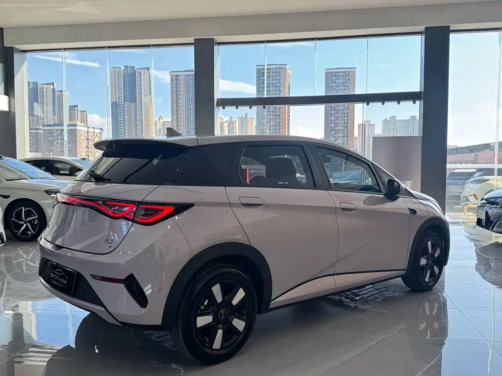 BYD Dolphin — миниатюра 7