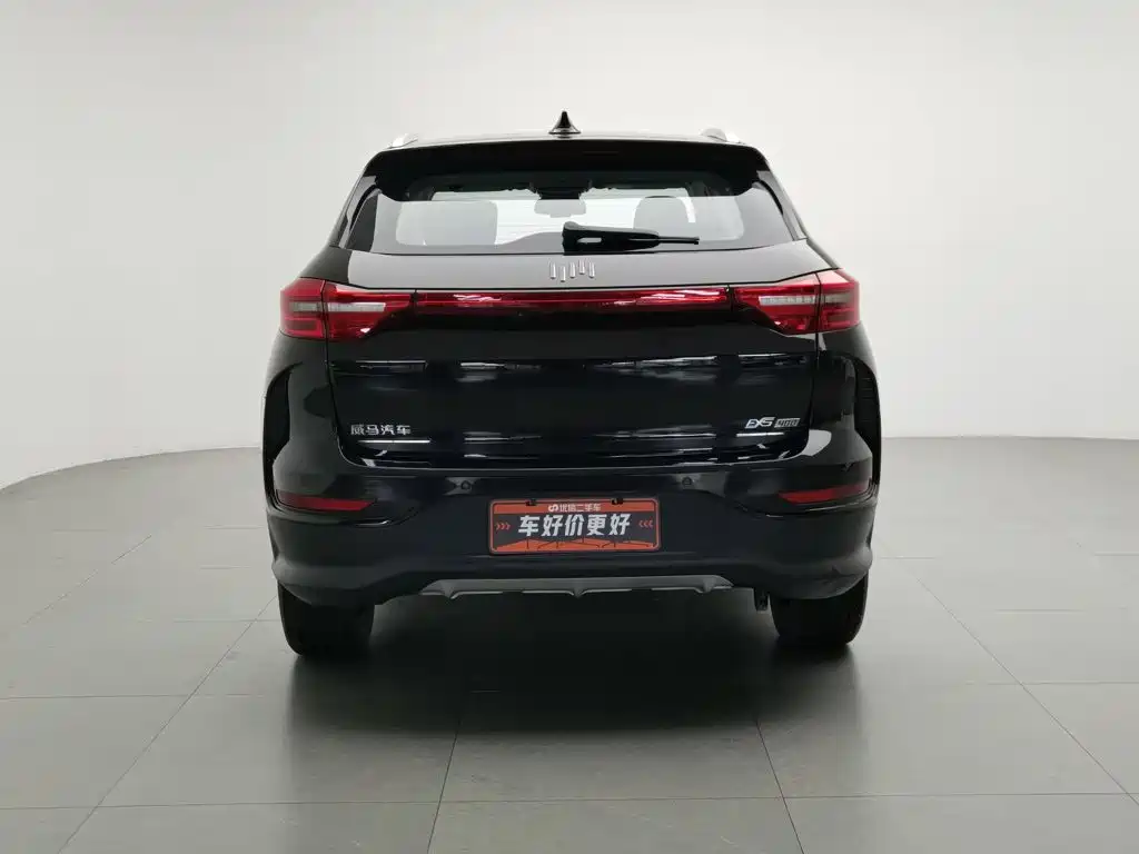 WM Motor EX5 — миниатюра 4