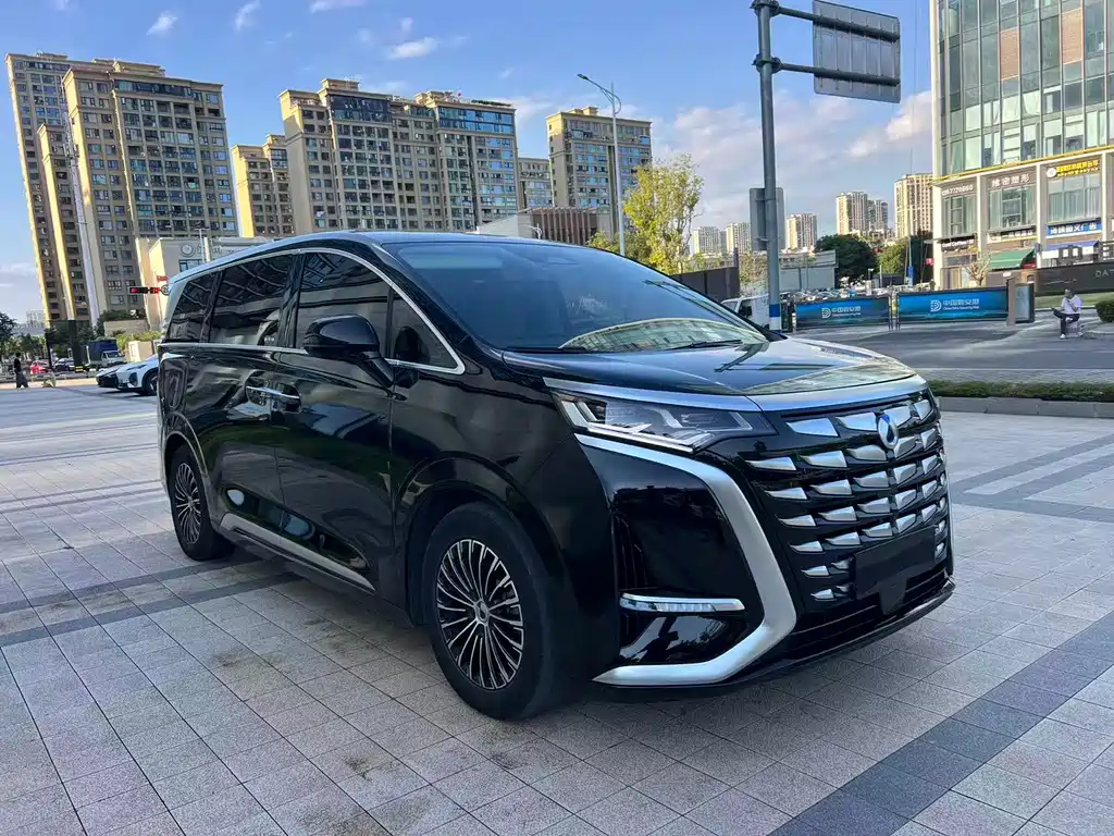 Denza Denza D9 — миниатюра 3