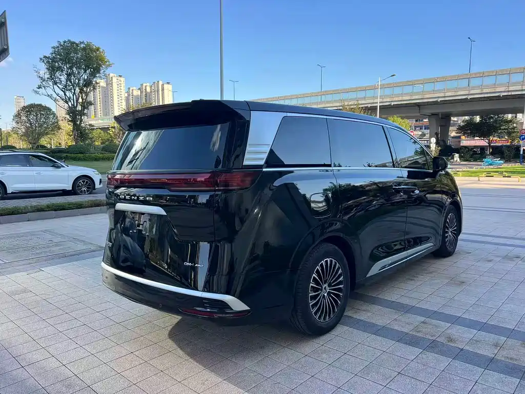 Denza Denza D9 — миниатюра 7