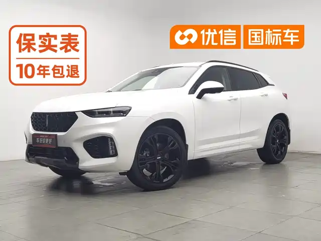 WEY 魏牌