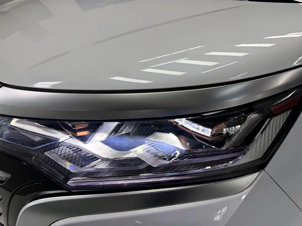 Denza Denza D9 — миниатюра 20