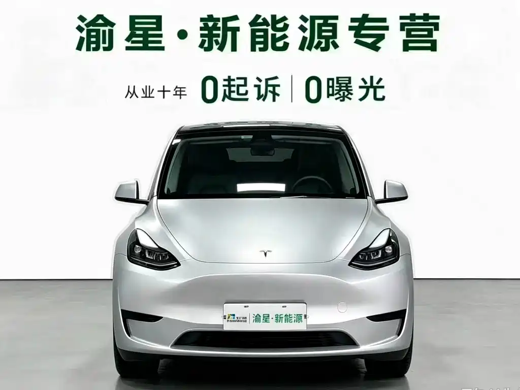 Tesla Model Y — миниатюра 2