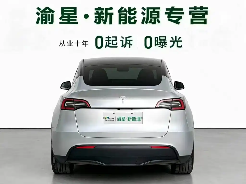 Tesla Model Y — миниатюра 6