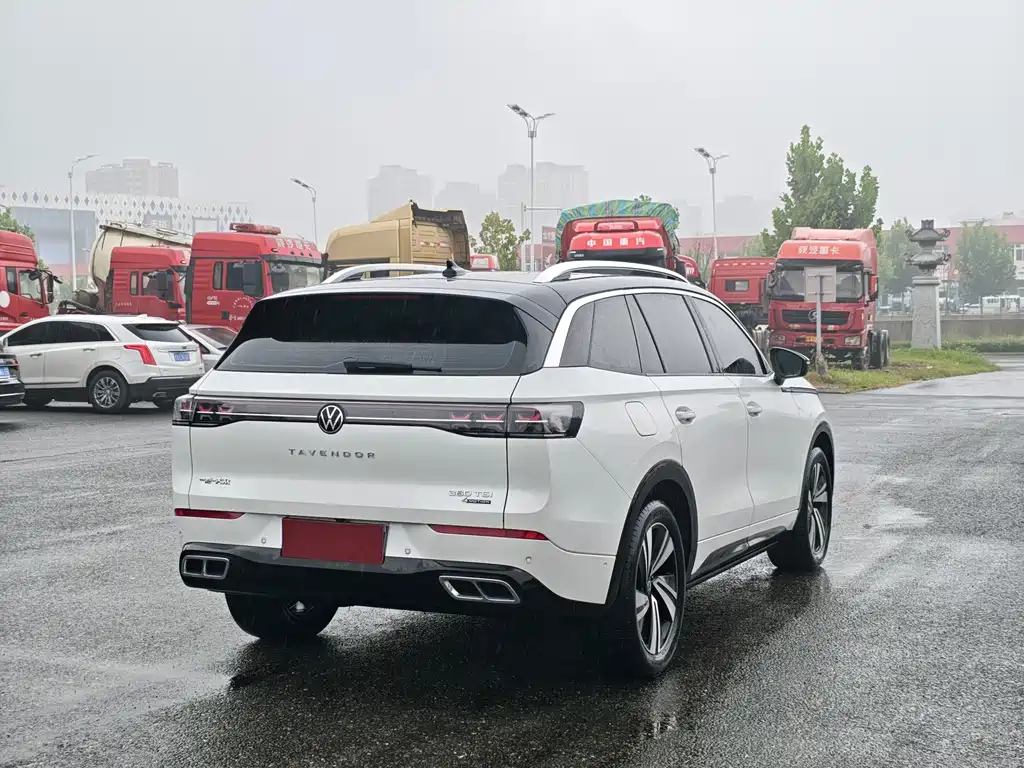 Volkswagen Tavendor — миниатюра 7