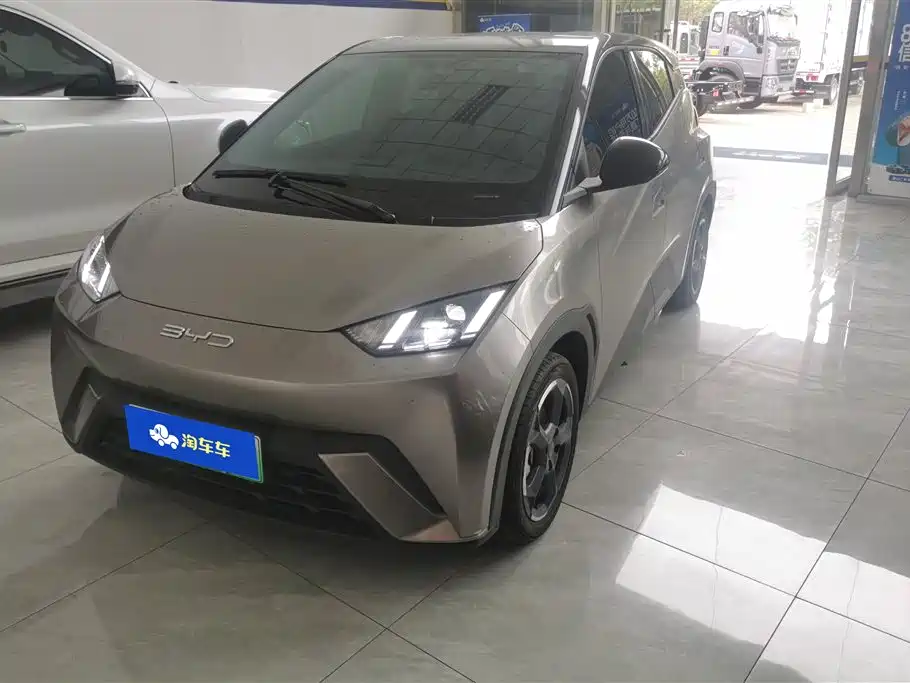 Byd Seagull 2024