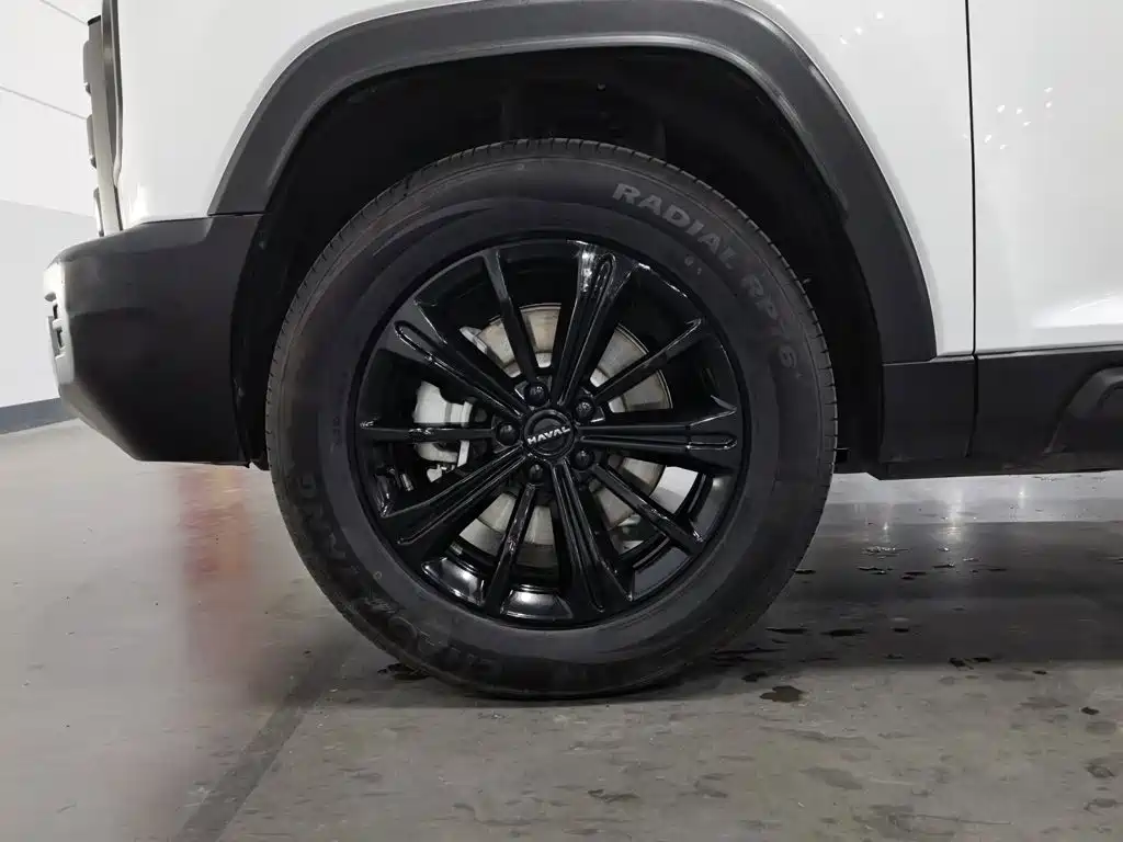 Haval Menglong New Energy — миниатюра 17