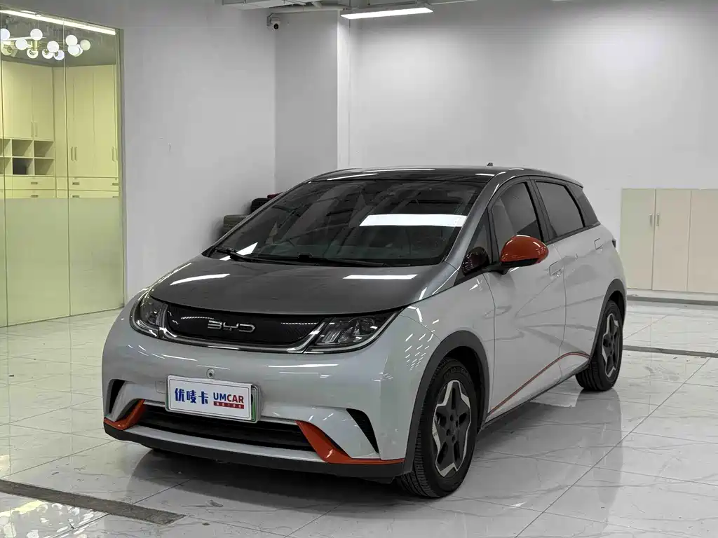 BYD Dolphin