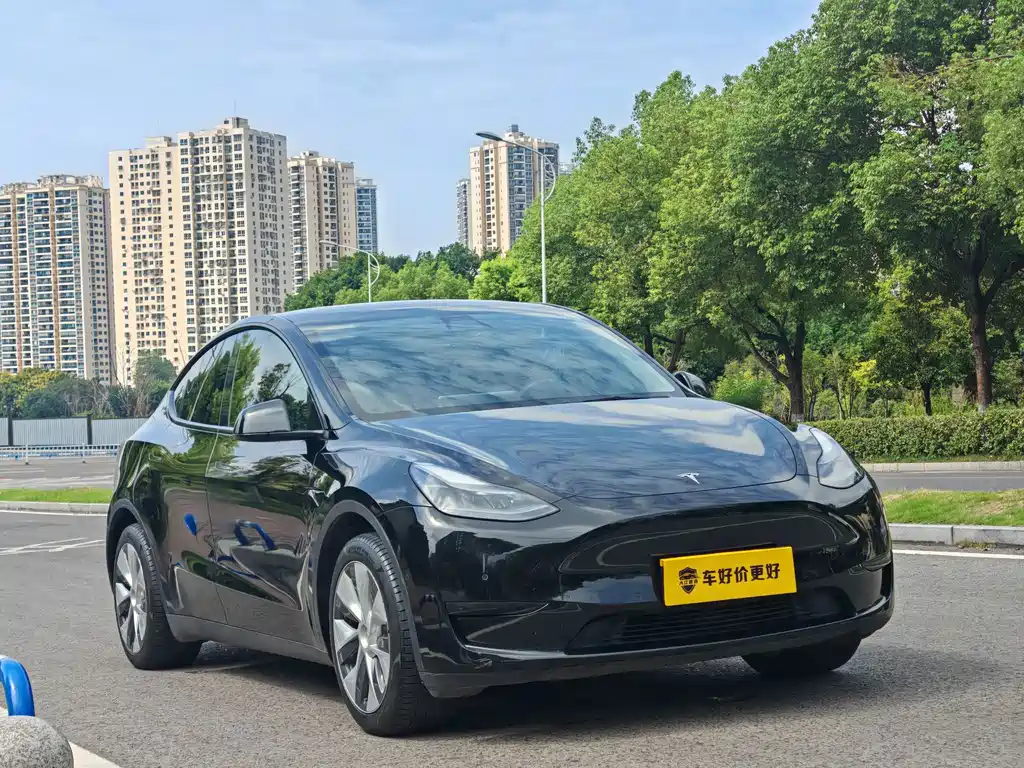 Tesla Model Y — миниатюра 3