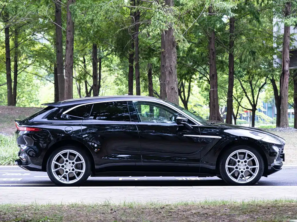 Aston Martin DBX — миниатюра 4
